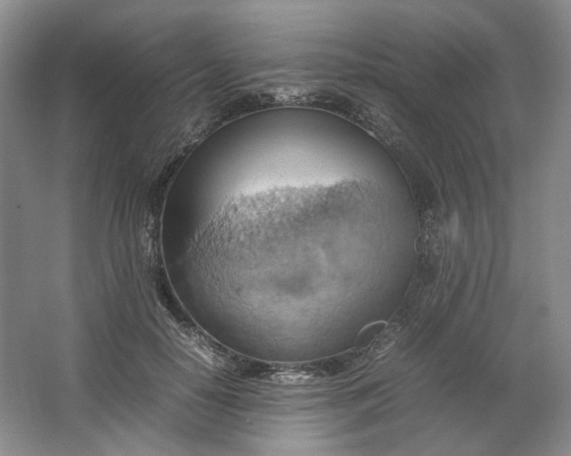 X0000064040650200602101426