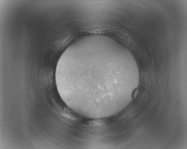 X0000064040652200602101426