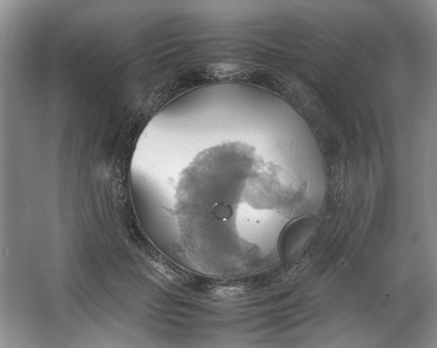 X0000064040653200602101426