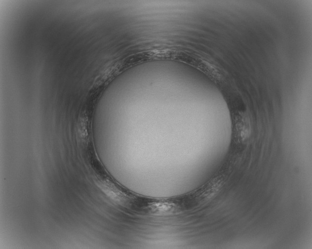 X0000064040654200602101426