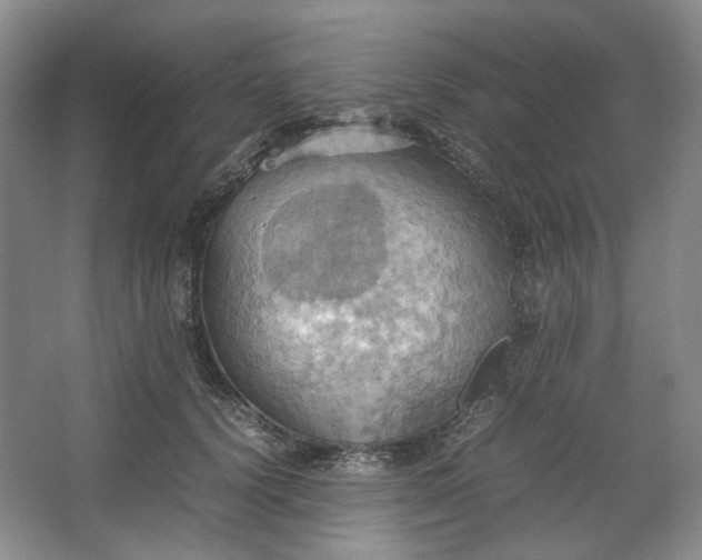 X0000064040656200602101426