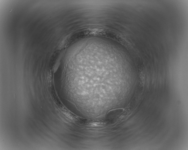 X0000064040657200602101426