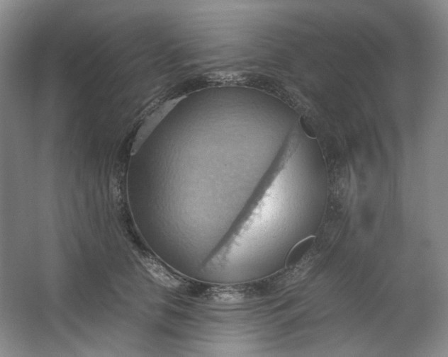 X0000064040658200602101426