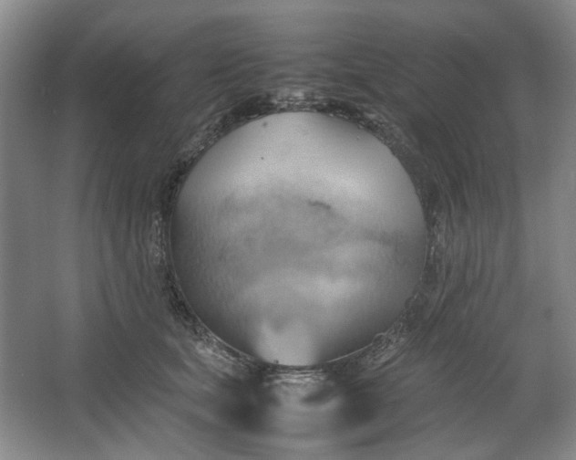 X0000064040659200602101426