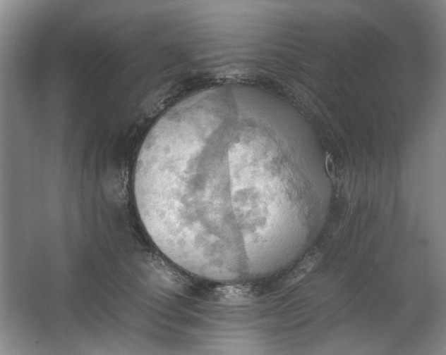 X0000064040660200602101426