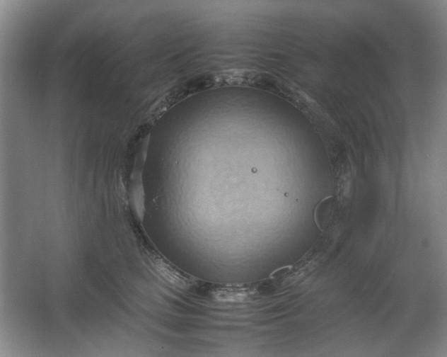 X0000064040661200602101426