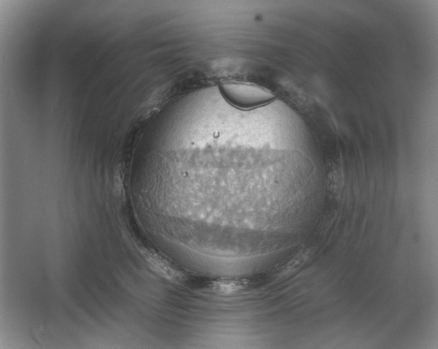 X0000064040662200602101426