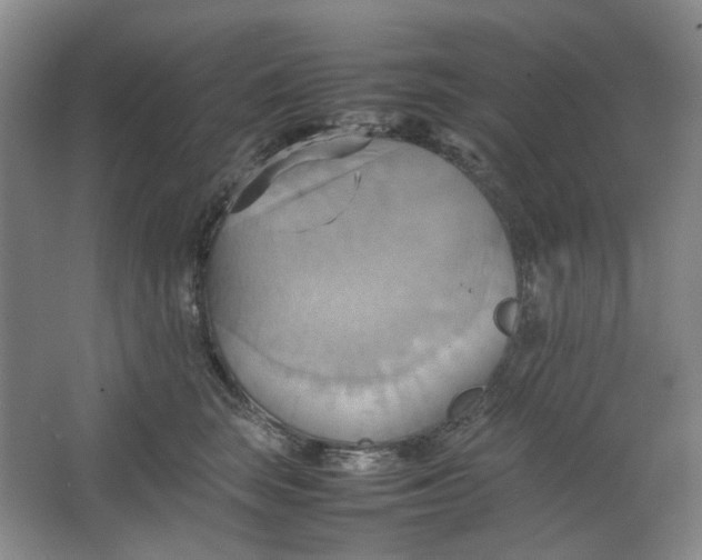 X0000064040663200602101426