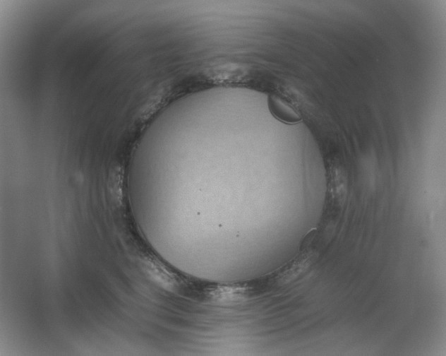 X0000064040664200602101426