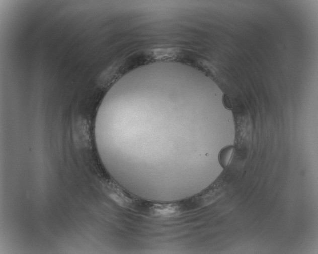 X0000064040667200602101426