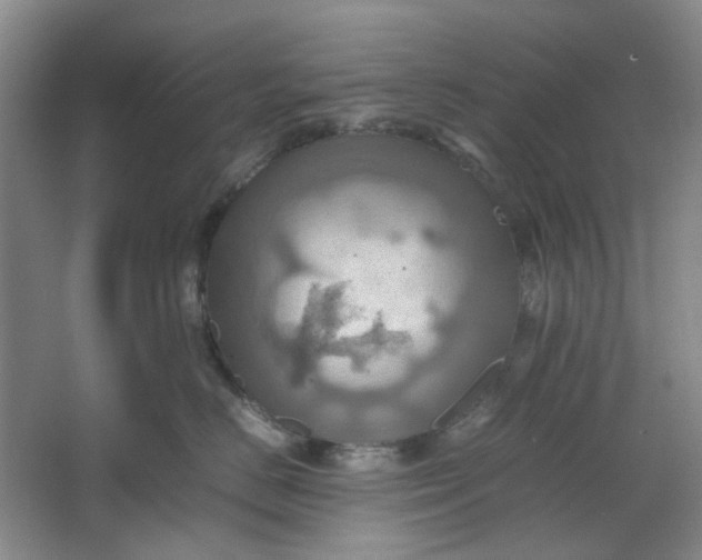 X0000064040670200602101426