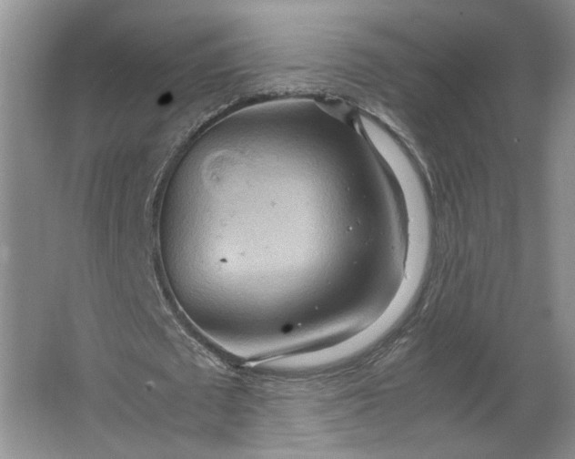 X0000064040673200602101425