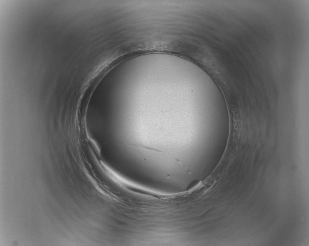 X0000064040674200602101425