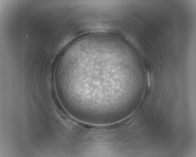 X0000064040675200602101425