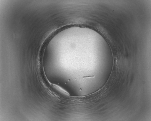 X0000064040676200602101425