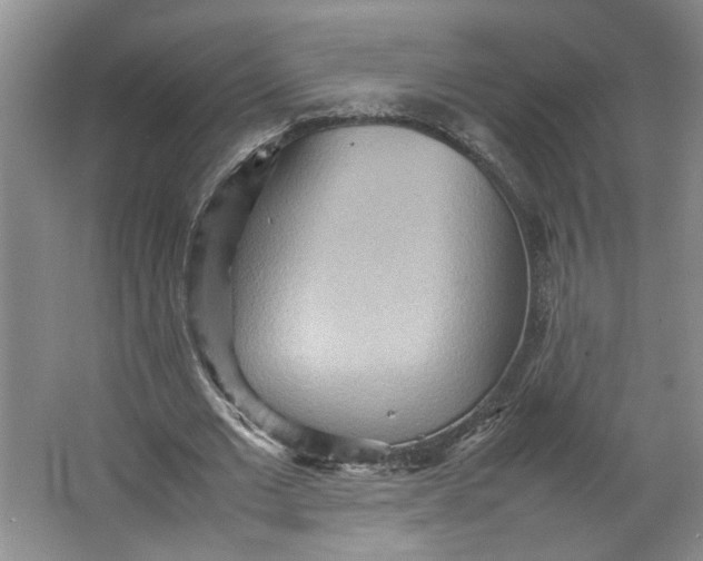 X0000064040677200602101425