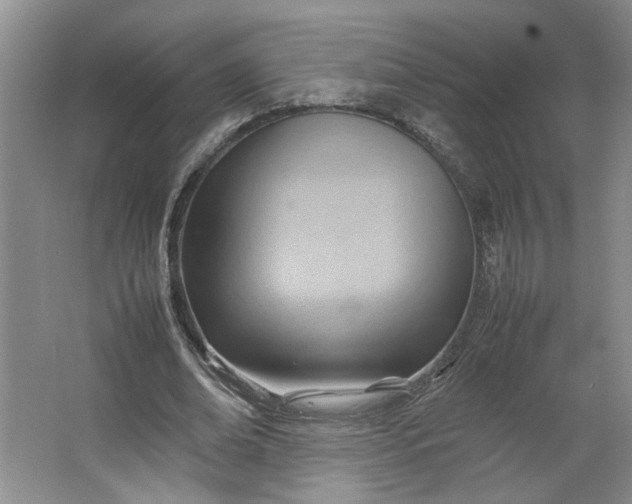 X0000064040678200602101425