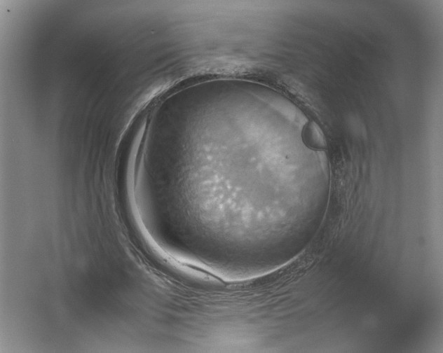 X0000064040679200602101425