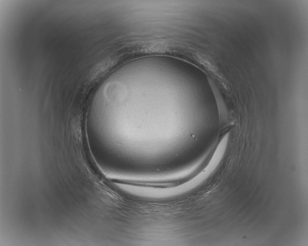 X0000064040681200602101425