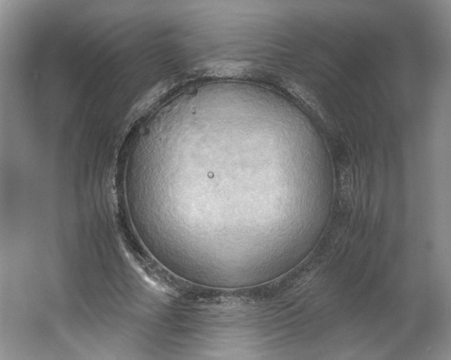 X0000064040682200602101425