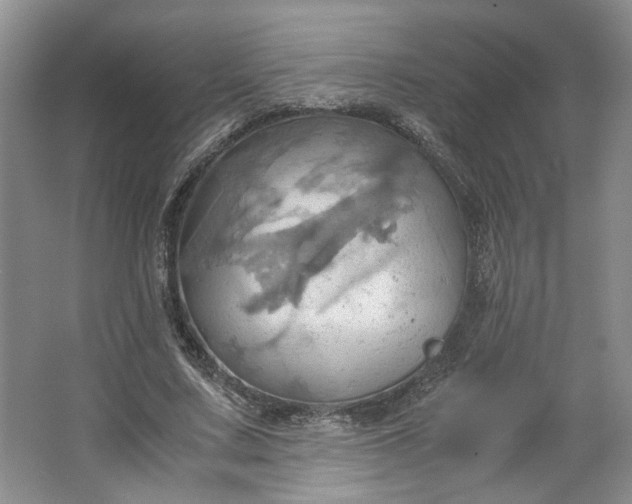 X0000064040683200602101425