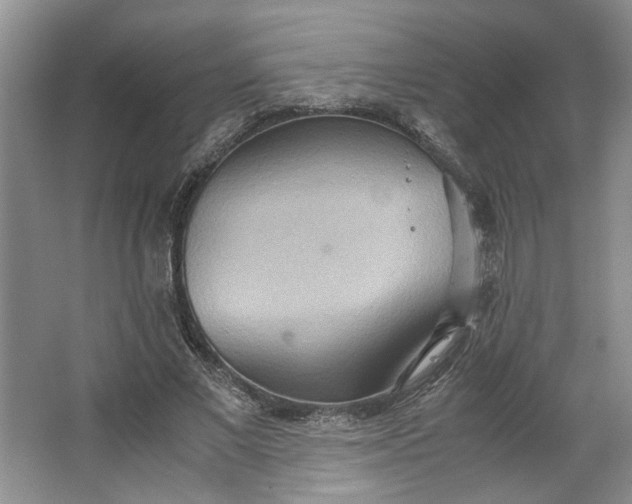 X0000064040685200602101425