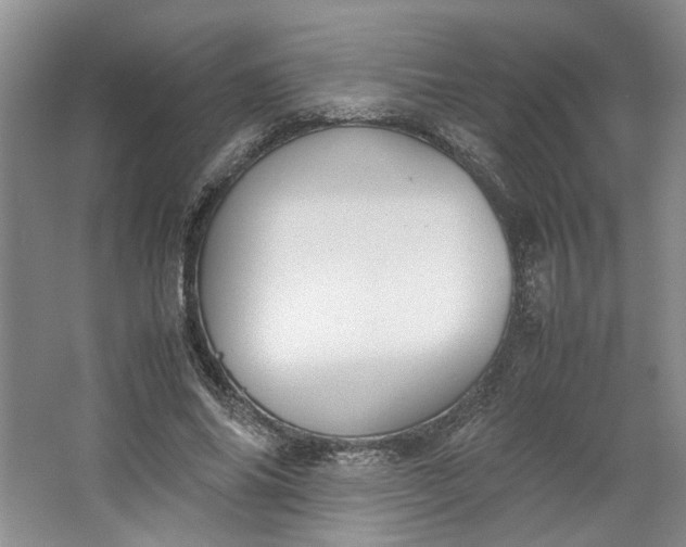 X0000064040686200602101425