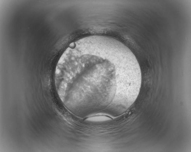 X0000064040687200602101425