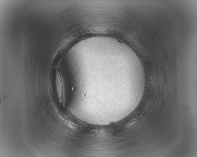 X0000064040688200602101425