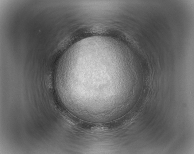 X0000064040689200602101425