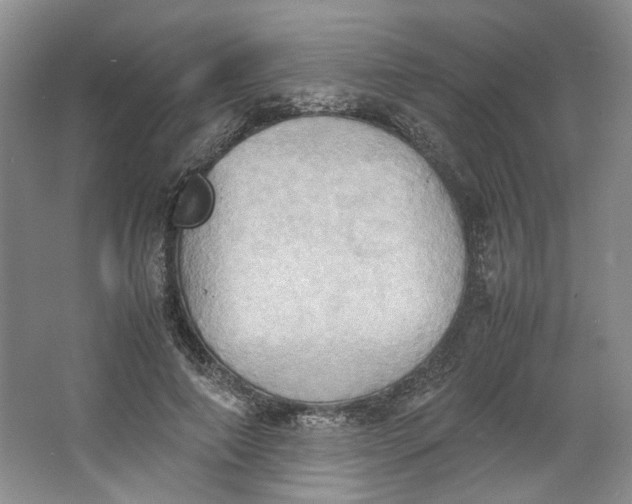 X0000064040690200602101425