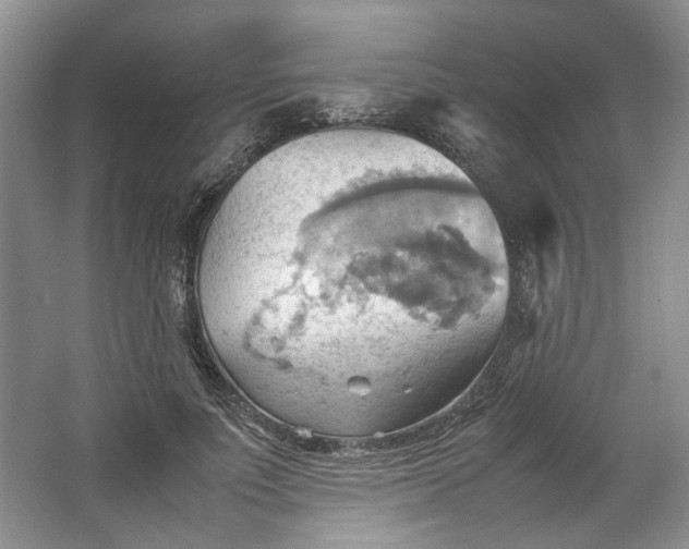 X0000064040691200602101425