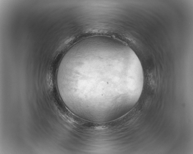 X0000064040692200602101425