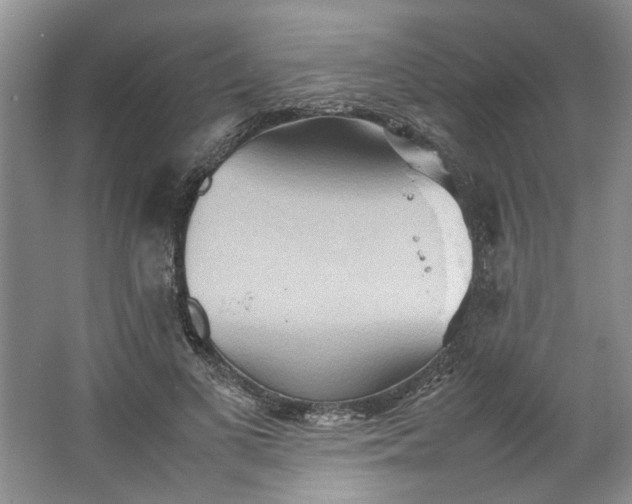 X0000064040693200602101425