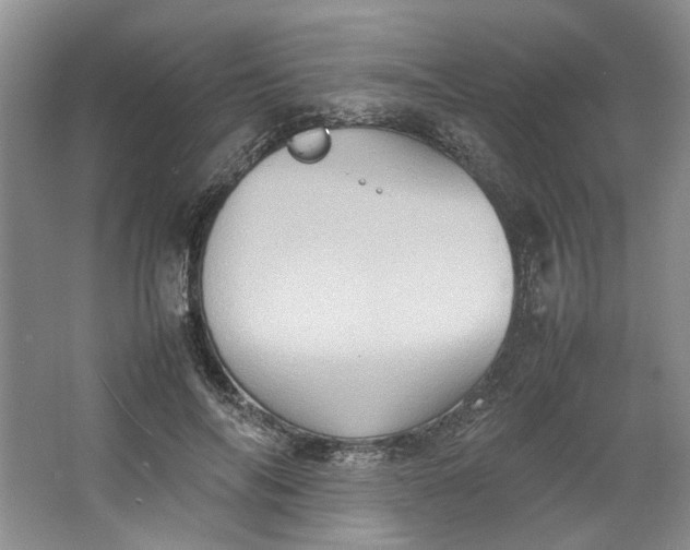 X0000064040694200602101425