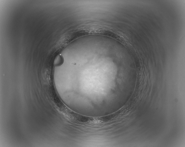 X0000064040695200602101425