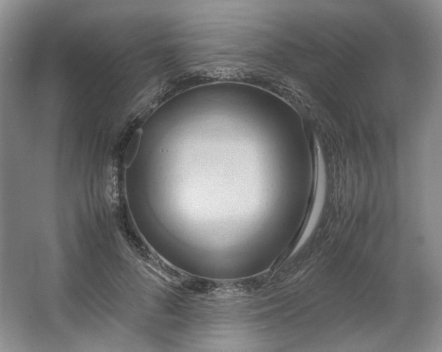 X0000064040696200602101425