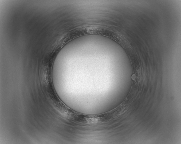 X0000064040698200602101425