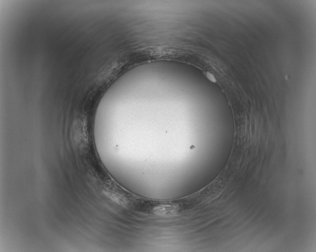 X0000064040700200602101425