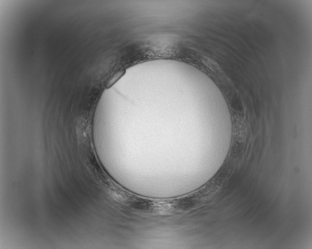 X0000064040701200602101425