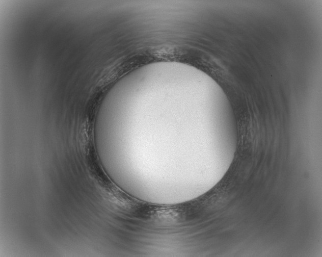 X0000064040702200602101425