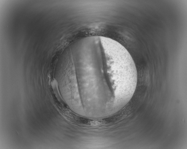 X0000064040703200602101425