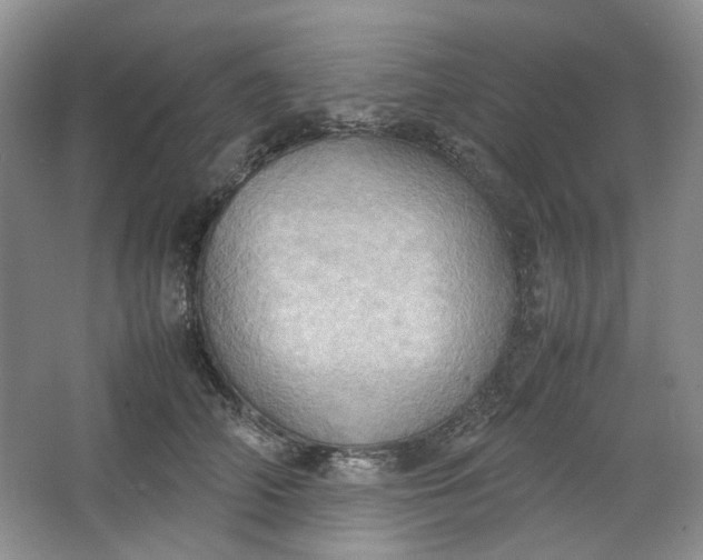 X0000064040706200602101425