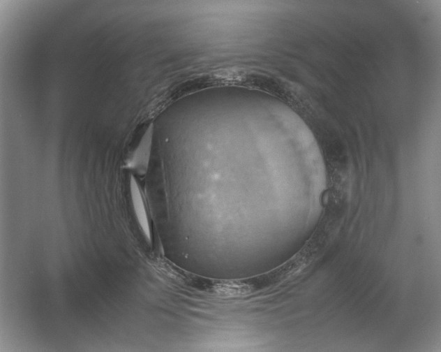 X0000064040707200602101425