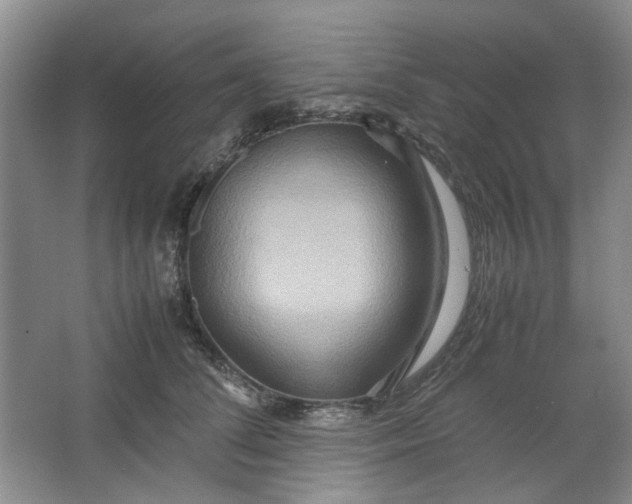 X0000064040708200602101425