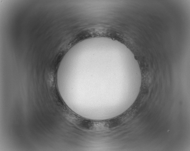 X0000064040709200602101425