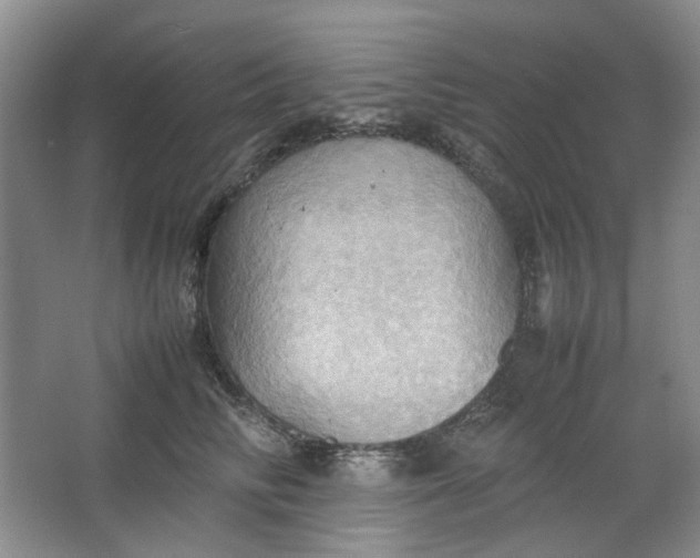 X0000064040710200602101425