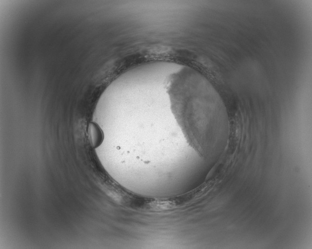 X0000064040711200602101425