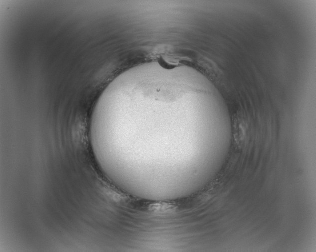 X0000064040714200602101425