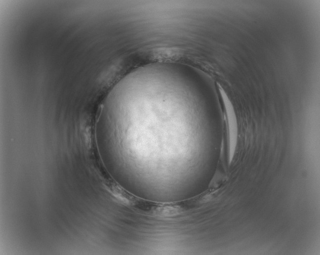 X0000064040716200602101424